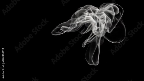 Abstract grayscale image of swirling smoke or vapor against a black background