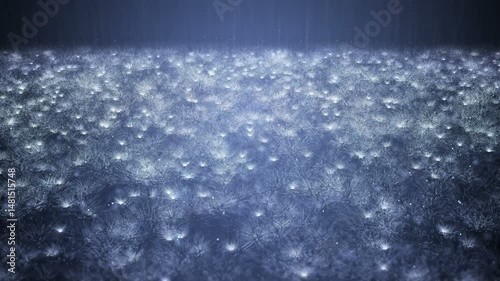 Rain on darkly background, falling raindrops