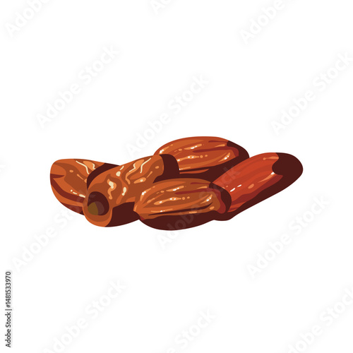 Vector illustration of dried dates isolated on white background. A realistic depiction of sweet, nutritious fruit, often used in Middle Eastern cuisine and healthy snacks.