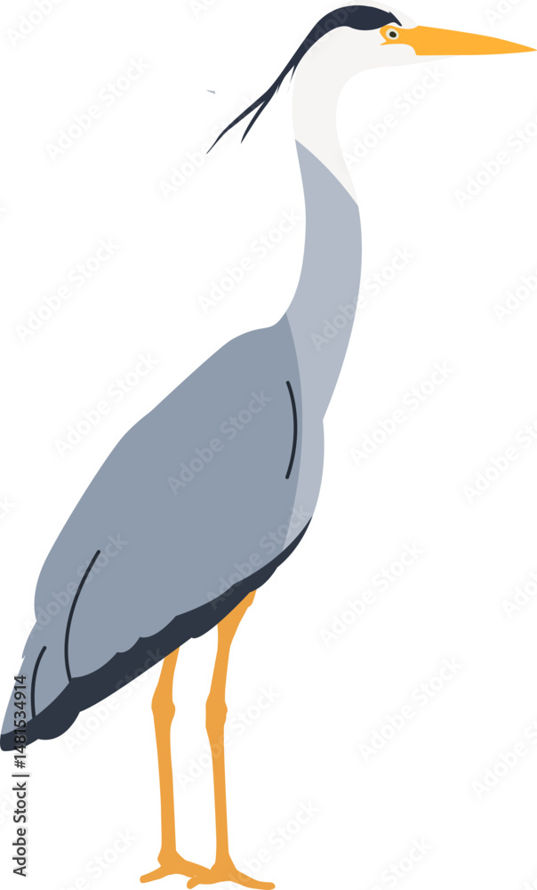 Obraz premium Heron Grey Bird Animal Illustration