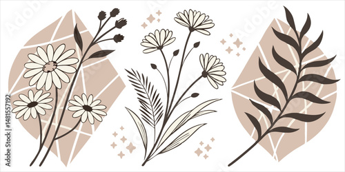 Botanical illustration with daisies and decorative leaves against geometric shapes and a neutral color scheme for modern design