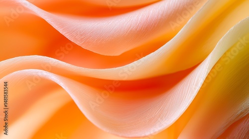 Orange Petal Macro Photography