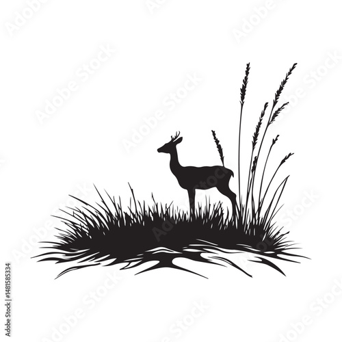 A deer is standing in the grass and a black silhouette of a deer vector isolated on white background.