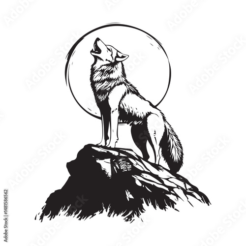 Wolf Rocky Vector.  A majestic wolf howls at full moon image vector isolated on white background.