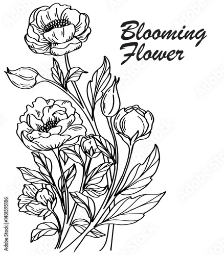 vector illustration of a flower