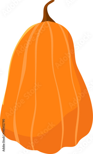 Tall orange pumpkin, smooth skin, long stem, isolated.