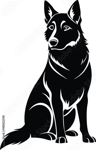 Elegant Silhouette of a Shetland Sheepdog