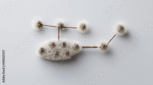 Dandelion constellation: A ...