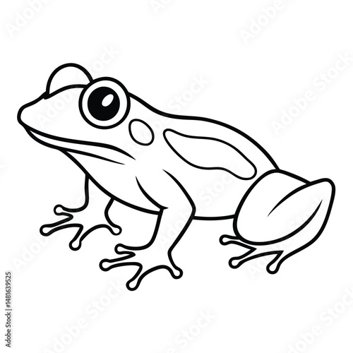 Green Tree Frog illustration white background