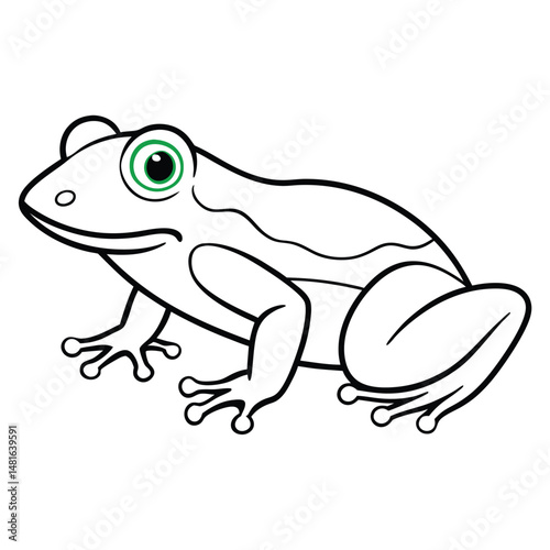 Green Tree Frog illustration white background