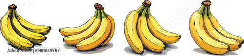 Cut Out Set of Banana bunch isolated on Transparent or white background, Vintage sketch vector illustration.