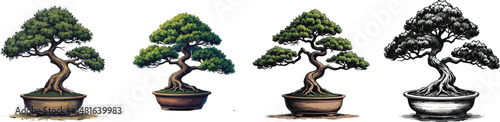 Cut Out Set of Bonsai tree isolated on Transparent or white background, Vintage sketch vector illustration.