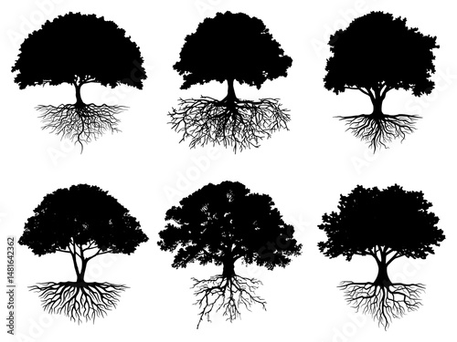 collection isolated tree and roots symbol or logo icon silhouette style on white background. Hand drawn isolated illustrations.