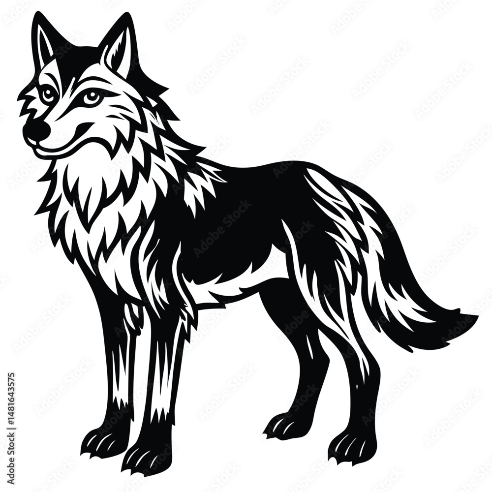 Obraz premium Grey Wolf illustration white background