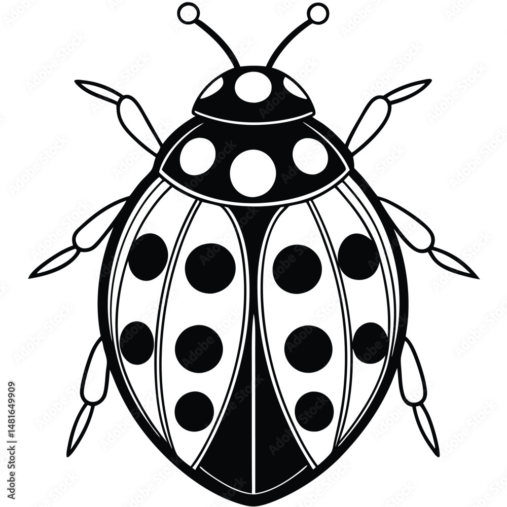 Obraz premium Ladybug illustration white background