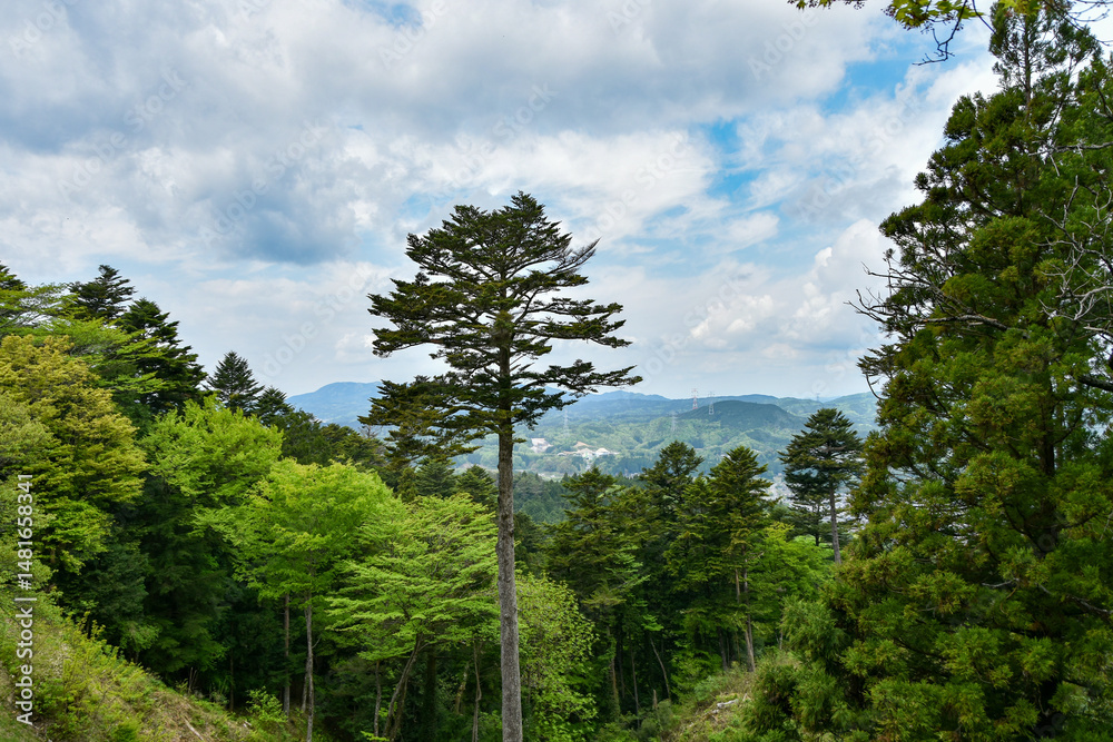 Obraz premium 夏の岐阜県の岩村城趾から見た風景
