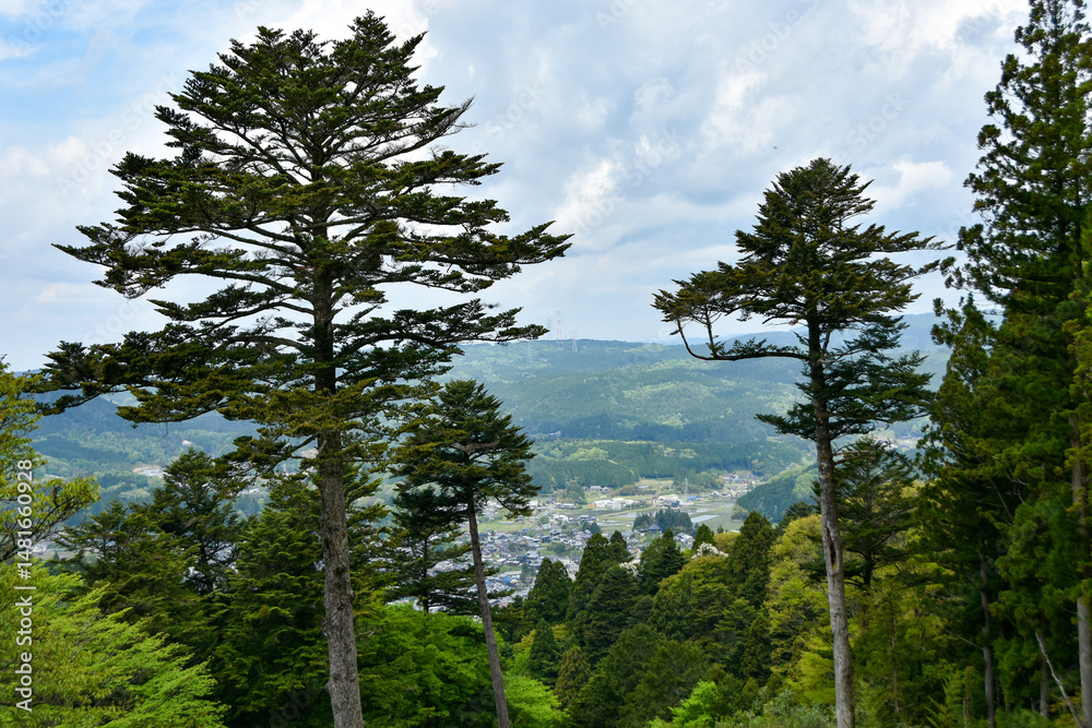 Obraz premium 夏の岐阜県の岩村城趾から見た風景