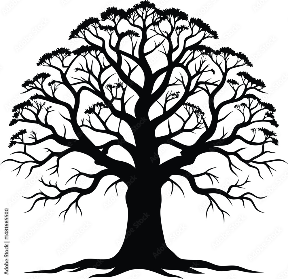 Obraz premium Silhouette of a Bare Tree