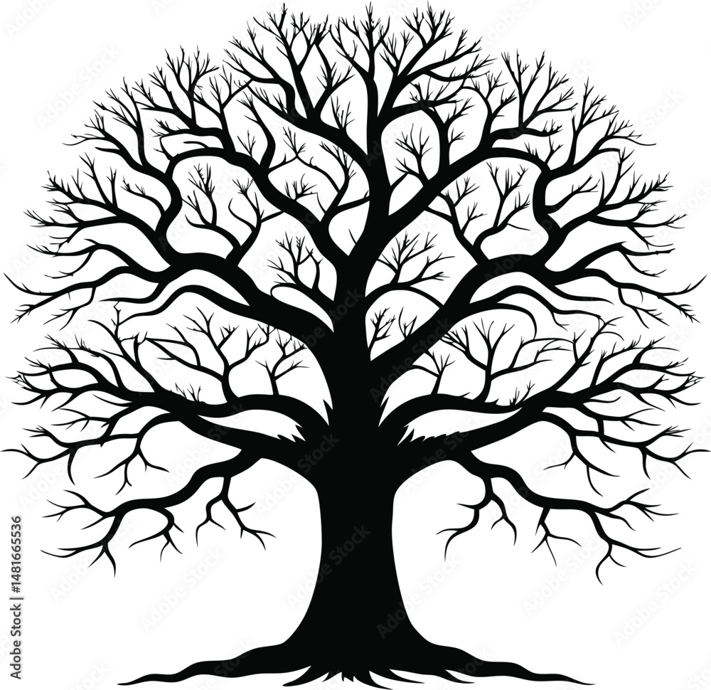 Fototapeta premium Silhouette of a bare oak tree with intricate branch structure