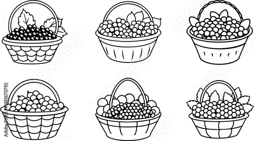 Set of grapes in a basket line art vector illustration outline
