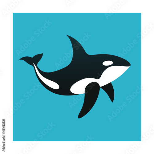 Stylized illustration of a killer whale swimming on a turquoise blue background