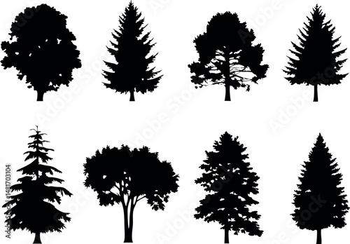 Minimalist evergreen tree shapes — fir and spruce silhouettes in clean vector style.
