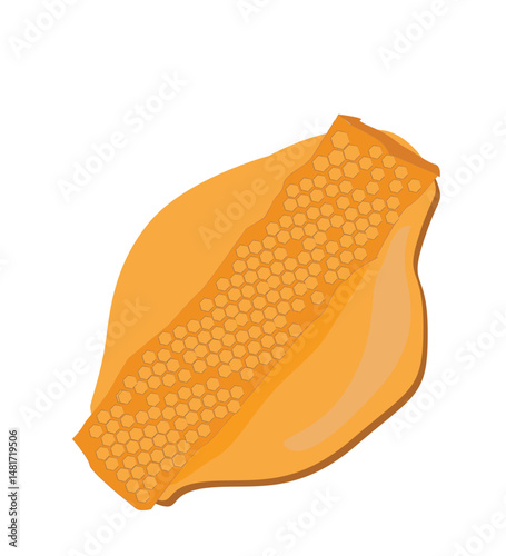 honeycomb isolated.Pure melted amber honey dripping, splashing and falling. Translucent sweet nectar leak with honeycomb,