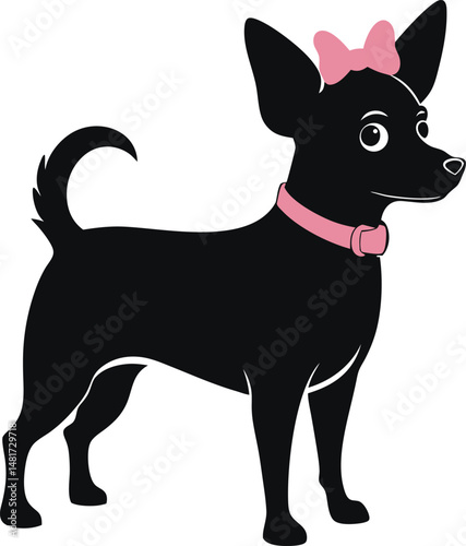 Chihuahua Dog with Pink Bow and Collar
