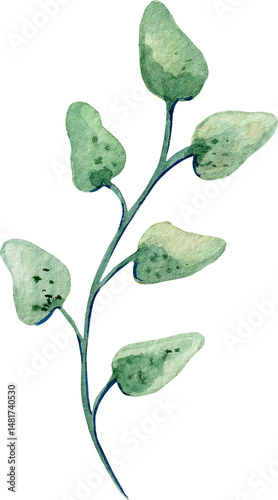 Naive Trendy.  Watercolor Green Plant Stem with Leaves Minimal Style for Fresh Interior Design