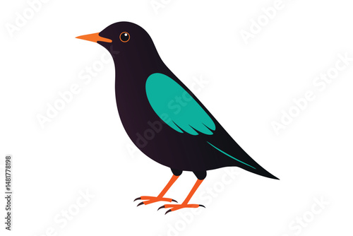 a--starling-vector-art-illustriton-white-baground.eps