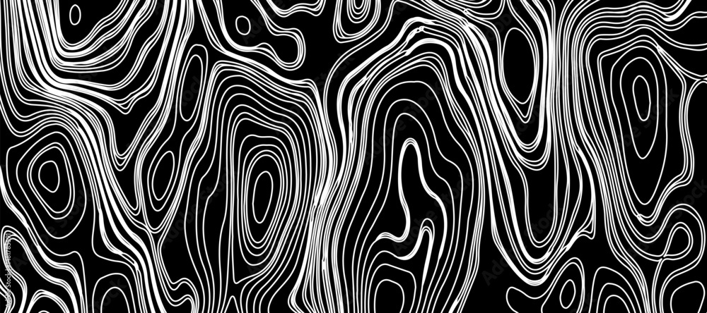 Fototapeta premium Topographic map like abstract backdrop. vector monochrome seamless pattern, curved lines, black & white layered texture. Abstract dynamical rippled surface.
