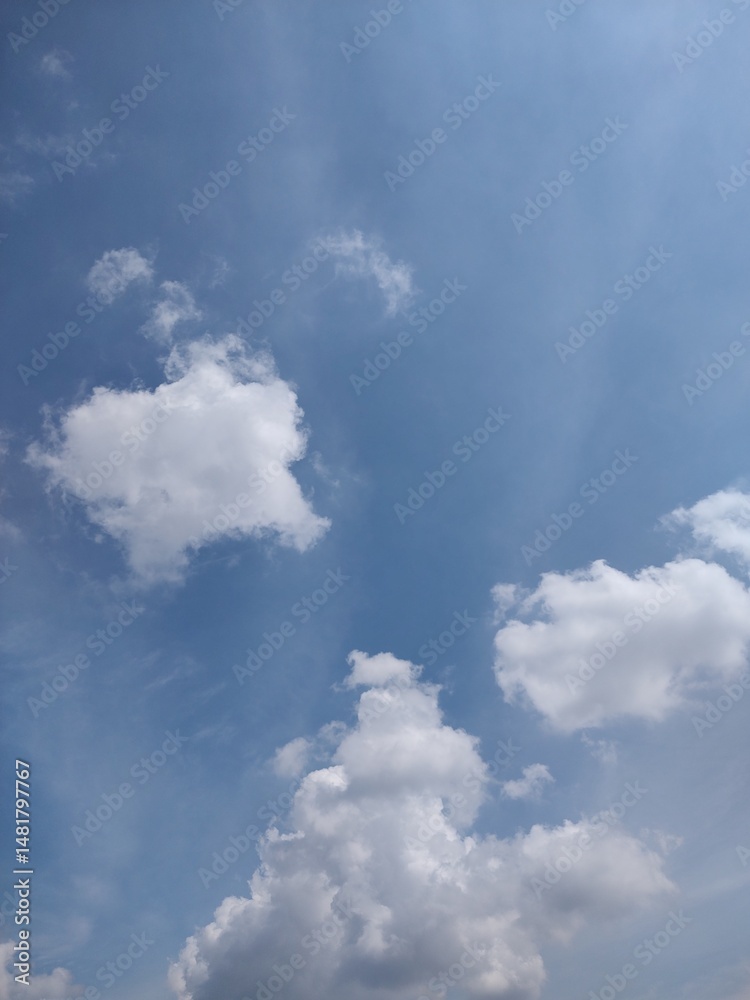 Obraz premium 東京のそら(25.5.15)