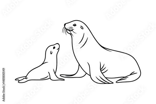 Simple line art illustration depicting a mother sea lion with her pup beside her
