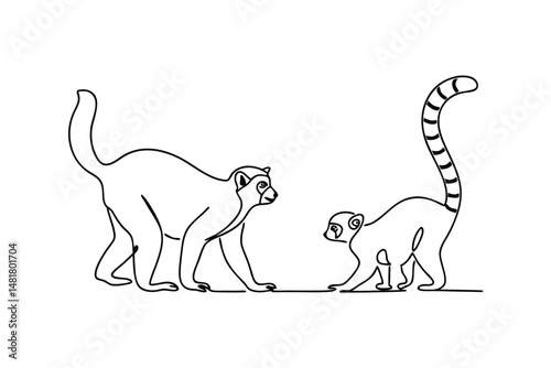 Line art illustration of two lemurs representing wildlife and animal kingdom in simple style