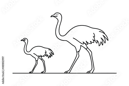 Simple black and white line art illustration depicting an adult ostrich and a chick