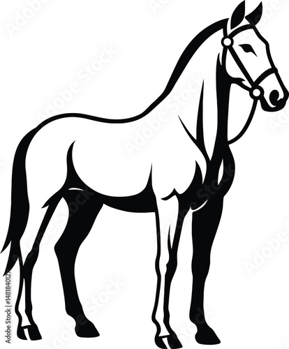 Majestic Horse Illustration Black and White, Noble Horse Sketch Silhouette