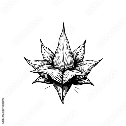 Botanical illustration displaying an artistic flower with intricate detailing in a monochrome style