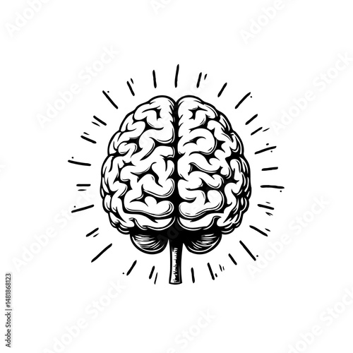Stylized cerebral illustration showcasing cognitive function with radiating lines