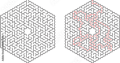 Complex hexagonal mazes with solutions marked illustrating puzzles and problem solving techniques
