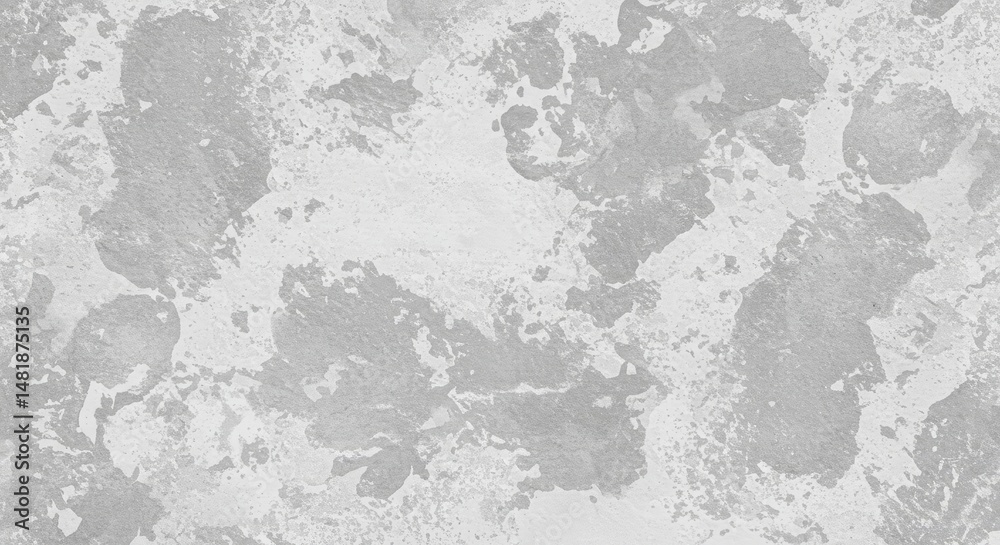 Fototapeta premium Abstract Background Gray Grunge Texture