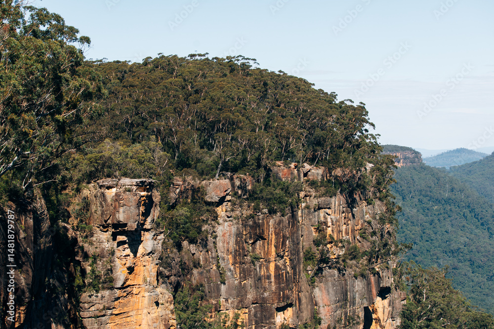 Fototapeta premium Cliffside forest at Fitzroy Falls, Kangaroo Valley, Australia