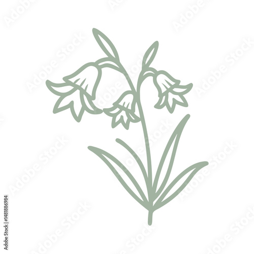 Minimalist Bluebell Flower Line Art Illustration