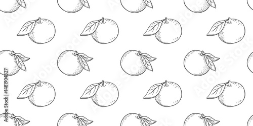 Seamless vector pattern with hand drawn tangerine or orange fruits. Engraved line art.