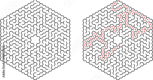 Complex hexagonal labyrinth with unsolved path and solved route indicated in red