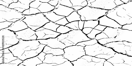 Closeup of dry fissure ground. White dried and cracked ground earth background.Gray crack on earth texture. erosion.	