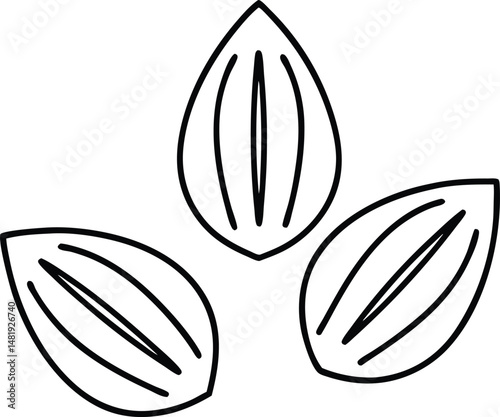 Almond icon. Nut vector illustration isolated  on white background.