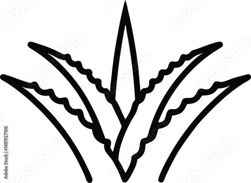 vector illustration aloe vera icon isolated on a white background.