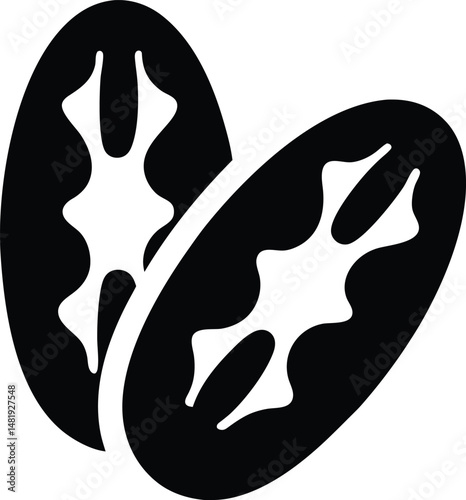 Brazil nuts icon vector illustration