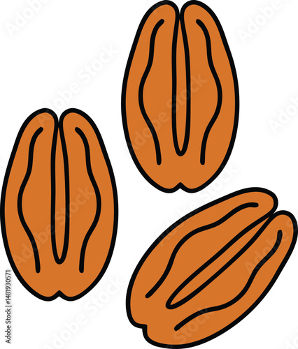 Pecan nut icon. Isolated pecan nut on white background