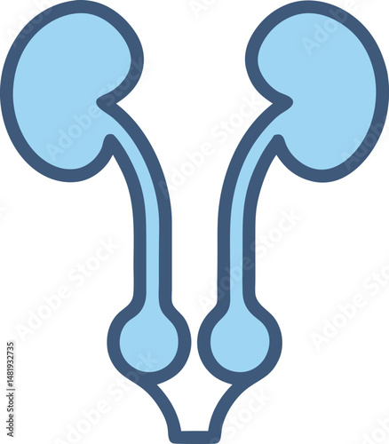 Urinary system icon  